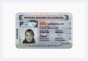 Visa TN